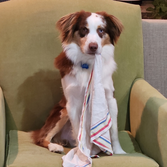 Meet your Posher, Angella - Picture 4 of 5